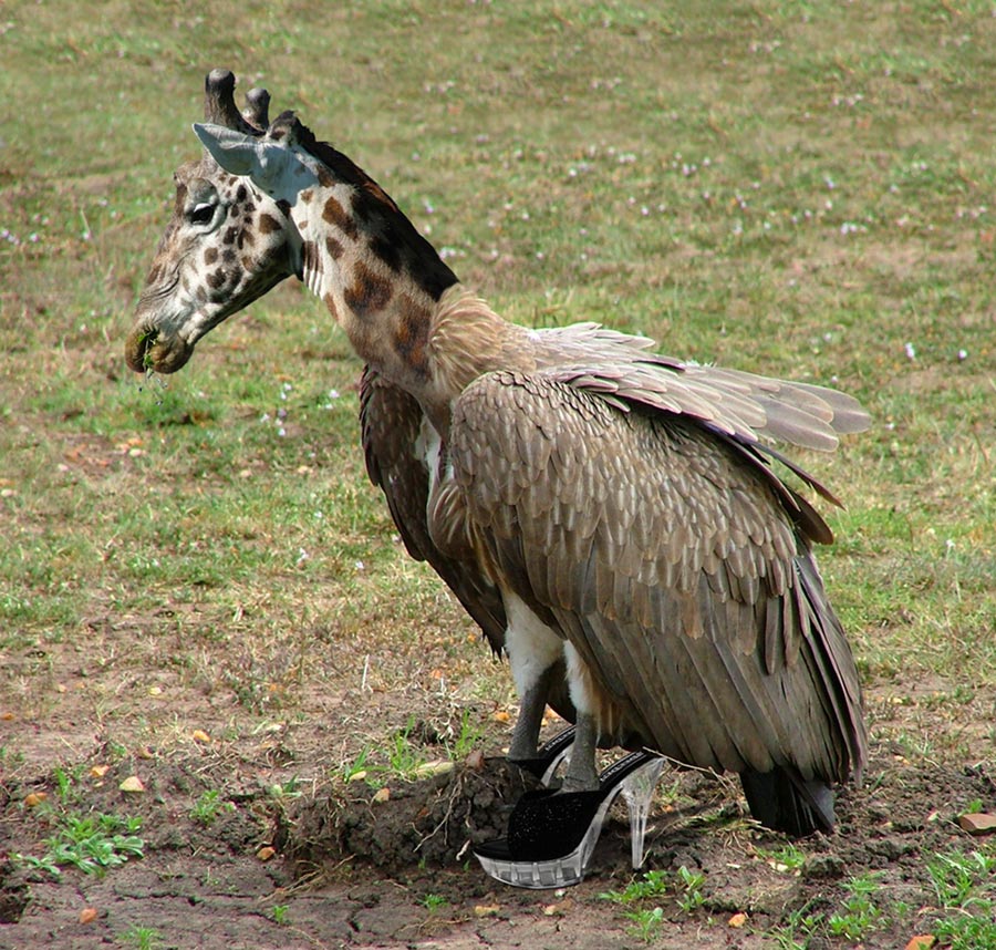 Photoshop Design by wax115 for DesignCrowd (Community Contests) | Design #9102614