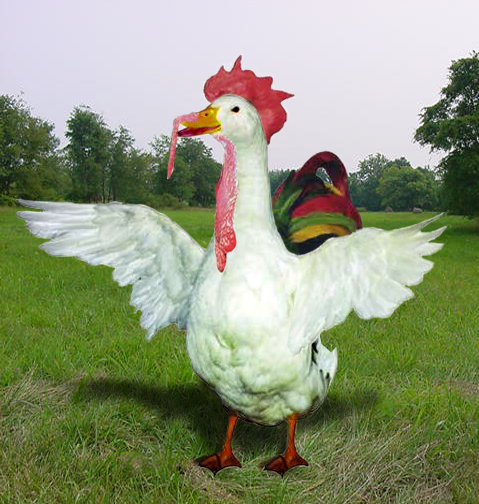 Photoshop Design by duragg for DesignCrowd (Community Contests) | Design #9102648