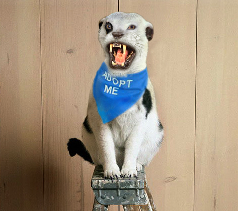 Diseño de Photoshop por Ashady para DesignCrowd (Community Contests) | Diseño #9102743