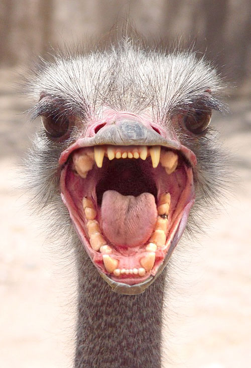 Photoshop Design by Dappers for DesignCrowd (Community Contests) | Design #9102695