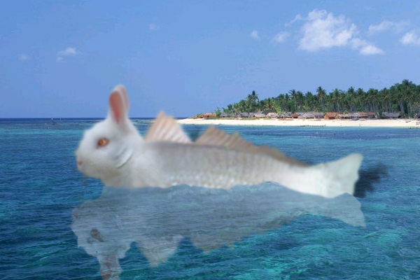 Photoshop Design by movieman21 for DesignCrowd (Community Contests) | Design #9102722