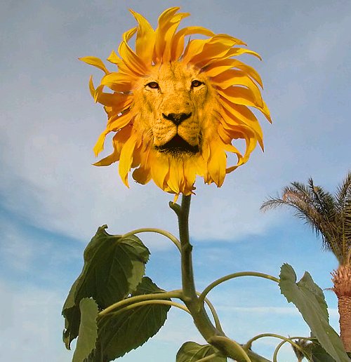 Photoshop Design by Cj for DesignCrowd (Community Contests) | Design #9102770