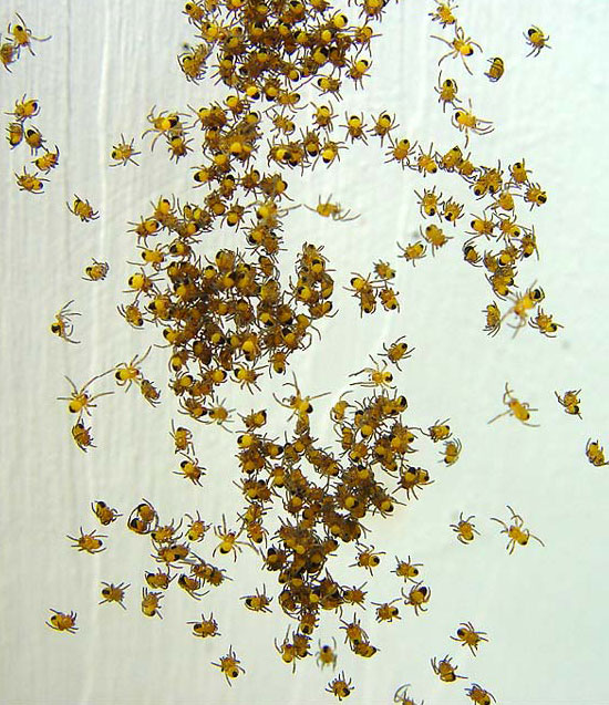 Fotografie von AlanHauge für DesignCrowd (Community Contests) | Design #9132535