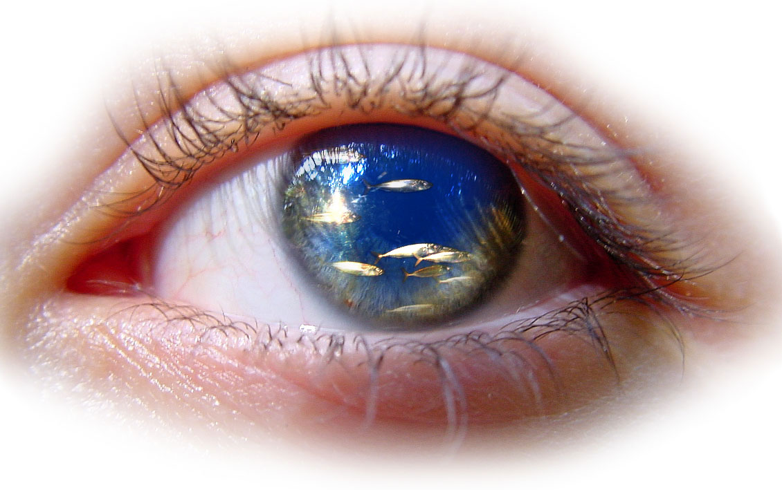 Design Photoshop par baldus pour DesignCrowd (Community Contests) | Design #9102977