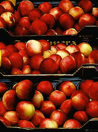 Fotografía por RitaRichter para DesignCrowd (Community Contests) | Diseño #9132546