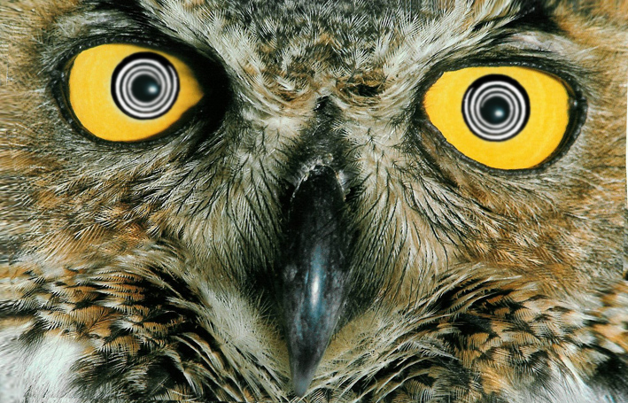 Photoshop Design by Slenno for DesignCrowd (Community Contests) | Design #9102952