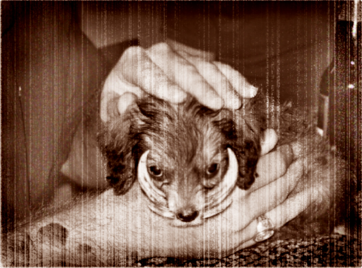 Diseño de Photoshop por Featherlake para DesignCrowd (Community Contests) | Diseño #9102835