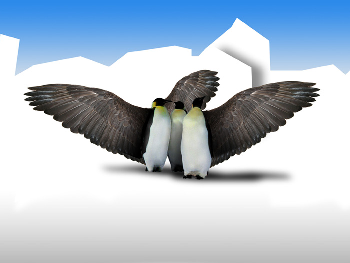 Photoshop Design by Aleksander80 for DesignCrowd (Community Contests) | Design #9102844