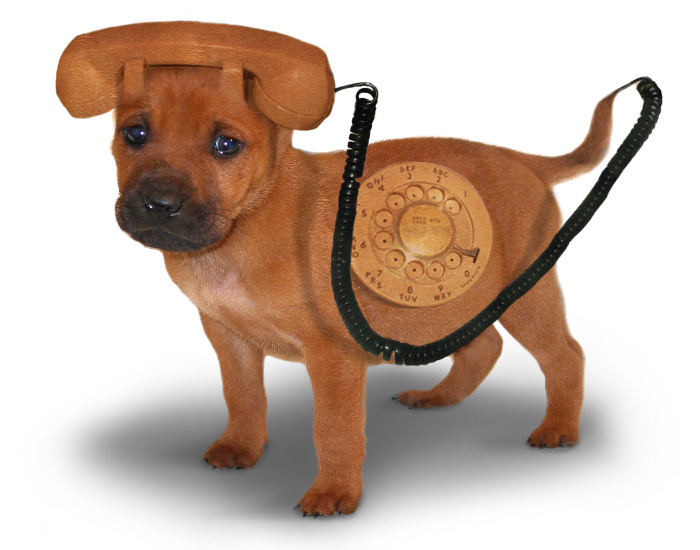 Photoshop-Design von bortman2000 für DesignCrowd (Community Contests) | Design #9102940