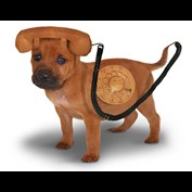 Photoshop Design by bortman2000