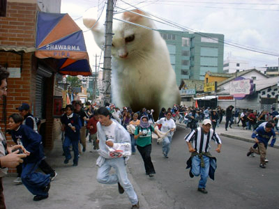 Photoshop Design by Shitrak for DesignCrowd (Community Contests) | Design #9129538