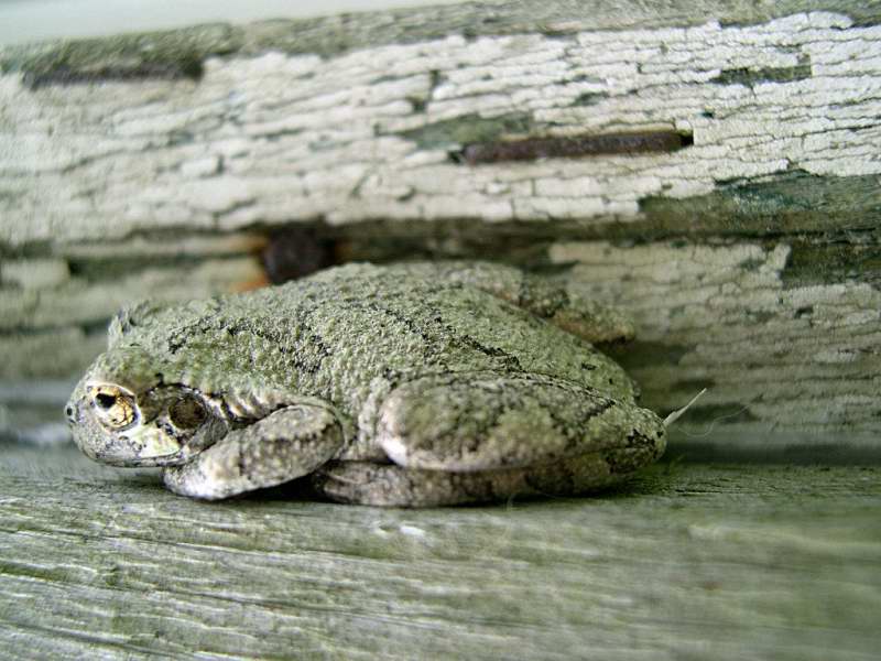 Photography by bluntodoss for DesignCrowd (Community Contests) | Design #9102533