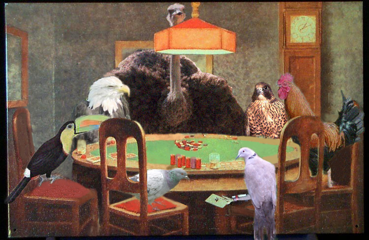 Photoshop Design by JK for DesignCrowd (Community Contests) | Design #9132241