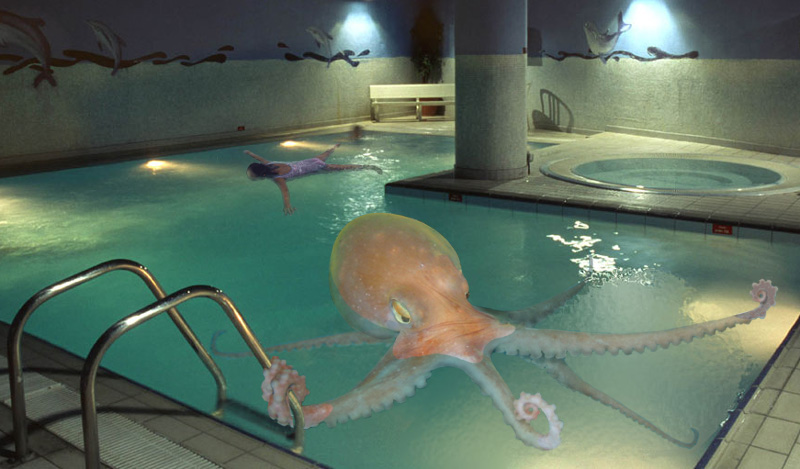 Design Photoshop par digsRus pour DesignCrowd (Community Contests) | Design #9112476