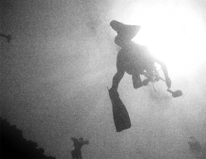 Fotografie von devilgas für DesignCrowd (Community Contests) | Design #9124103