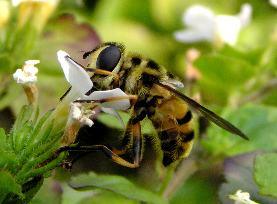 Photography by KChris for DesignCrowd (Community Contests) | Design #9102604