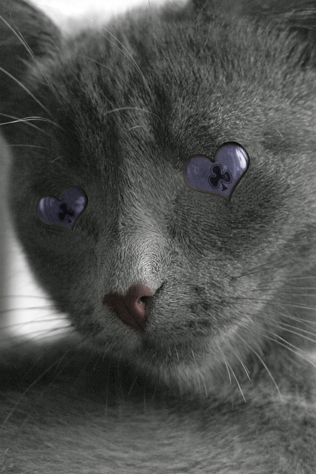 Photoshop Design by AHBjorck for DesignCrowd (Community Contests) | Design #9131616