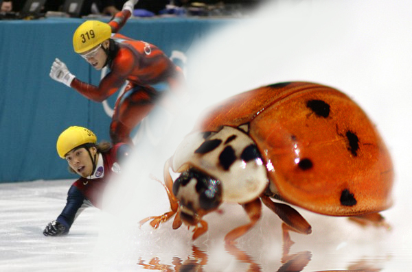 Photoshop-Design von frankacaba für DesignCrowd (Community Contests) | Design #9128261