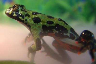 Photography by OneHappyFemale