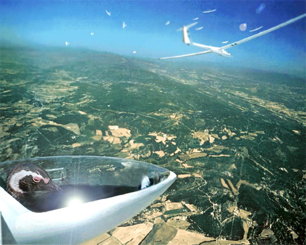 Photoshop Design by AugixX for DesignCrowd (Community Contests) | Design #9128388