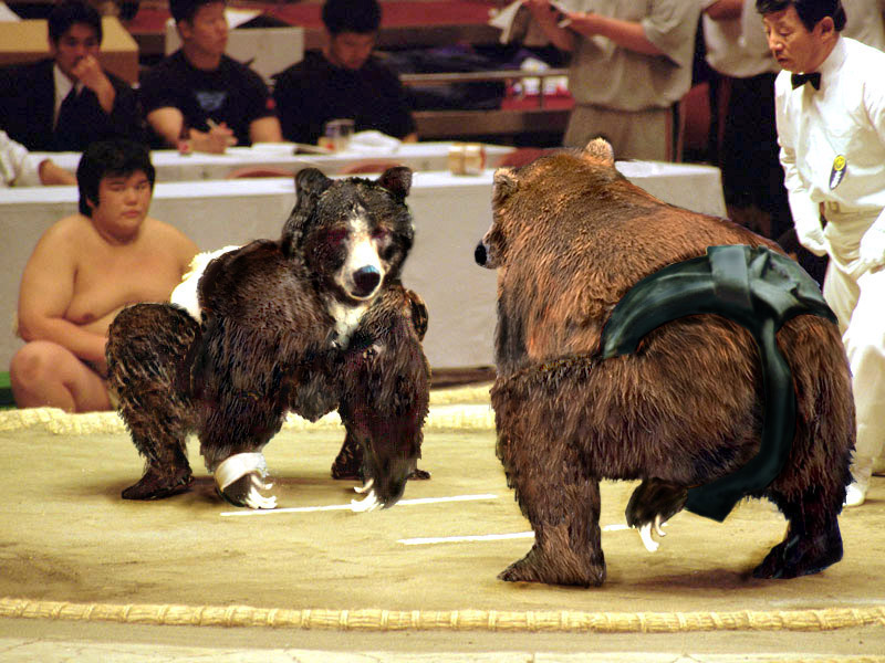 Photoshop Design by WillieTheCat for DesignCrowd (Community Contests) | Design #9128352