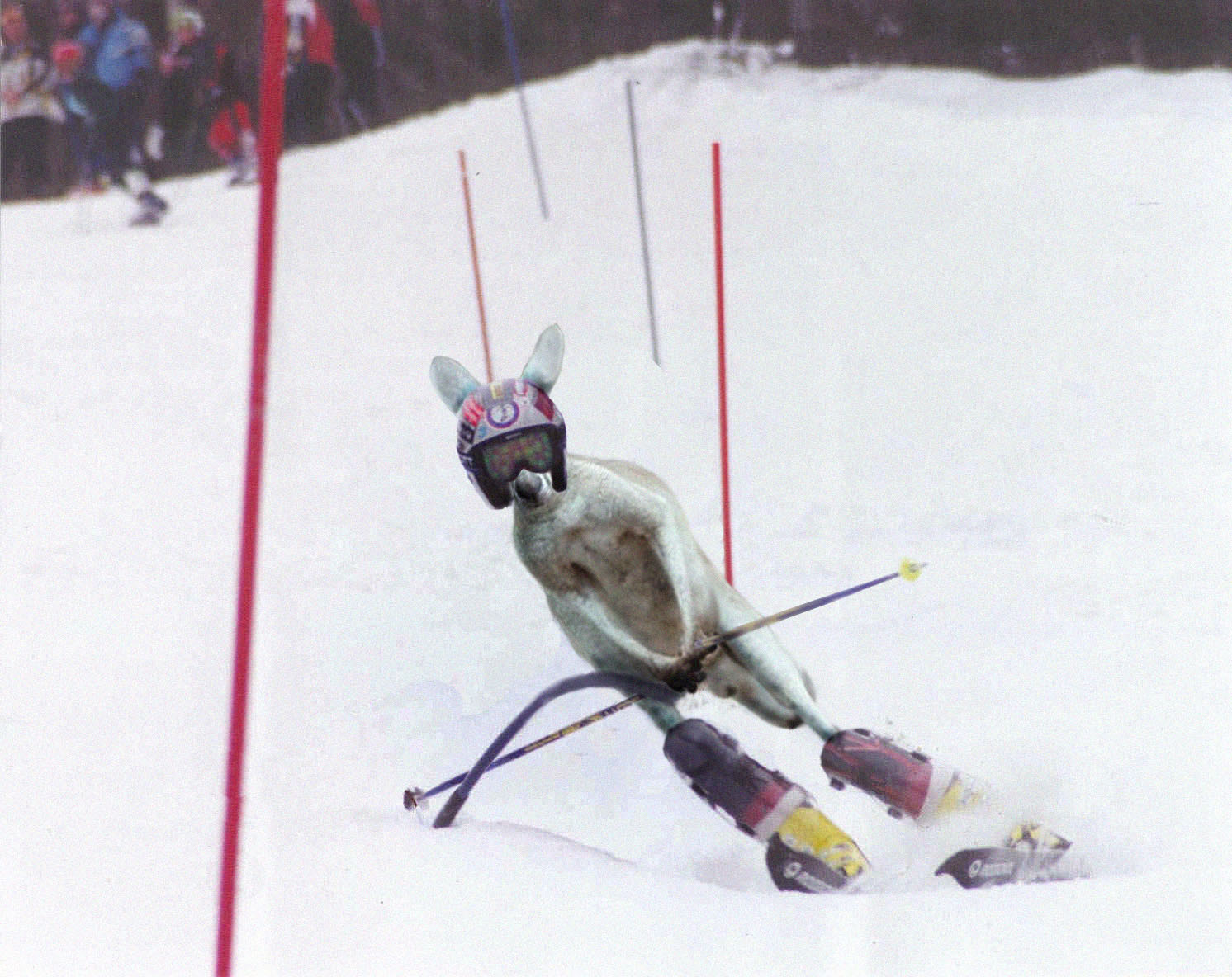 Photoshop Design by Nicky666 for DesignCrowd (Community Contests) | Design #9128383