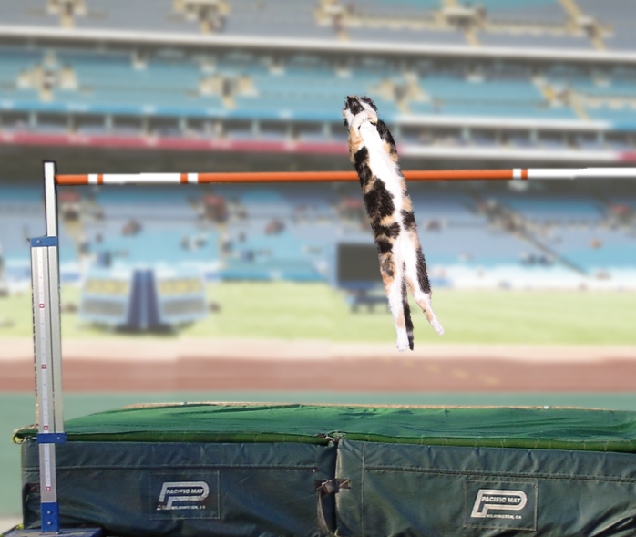 Photoshop-Design von Jgullickson für DesignCrowd (Community Contests) | Design #9128498