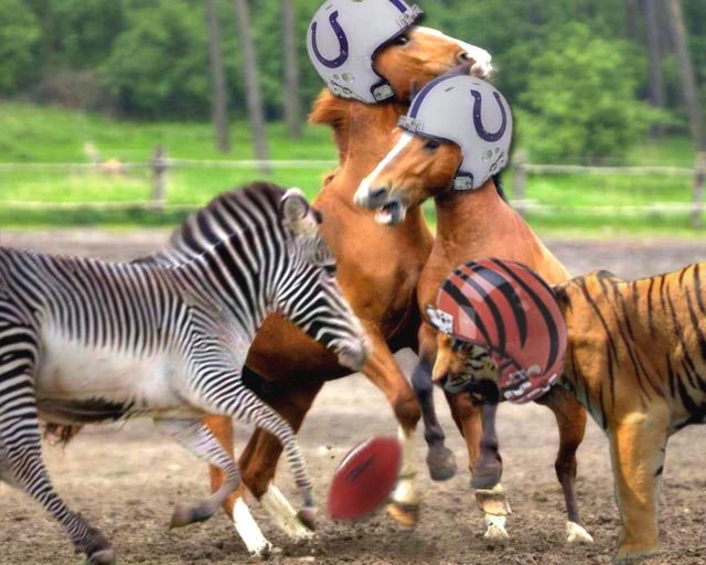 Photoshop Design by reallyme for DesignCrowd (Community Contests) | Design #9128432