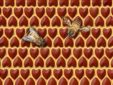 Photoshop Design by Zealous for DesignCrowd (Community Contests) | Design #9128898