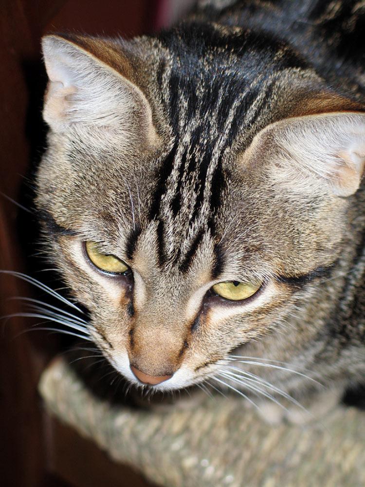 Photographie par wax115 pour DesignCrowd (Community Contests) | Design #9128229