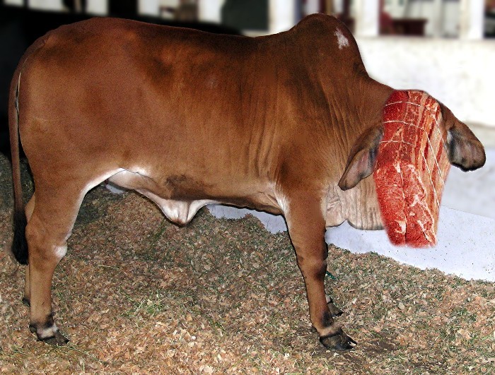 Design Photoshop par blendedfamily pour DesignCrowd (Community Contests) | Design #9128705