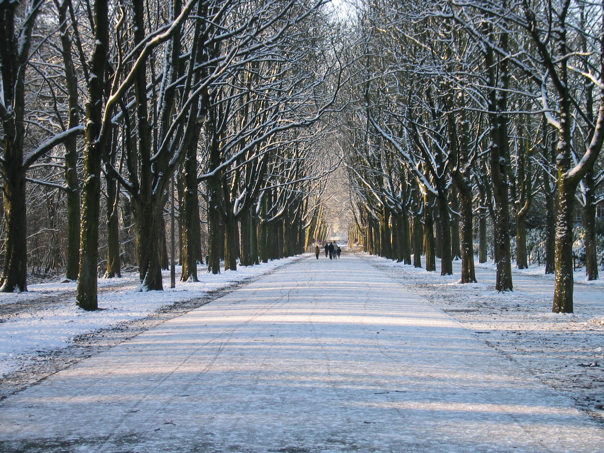 Photography by TonioRoffo for DesignCrowd (Community Contests) | Design #9128259