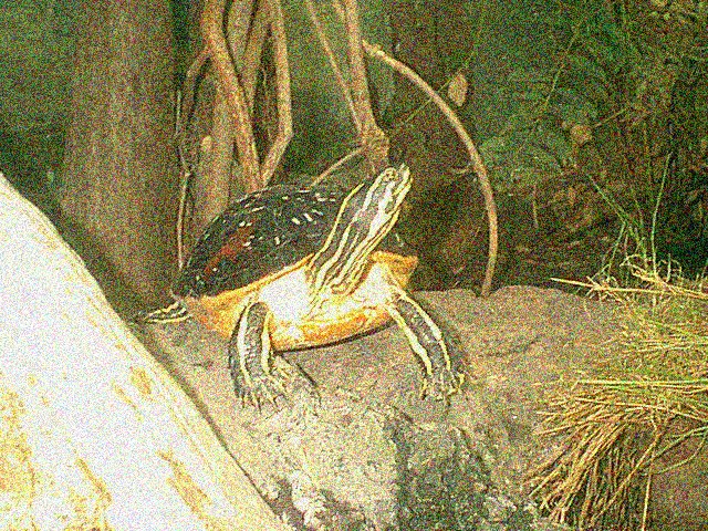 Photography by dpenguin for DesignCrowd (Community Contests) | Design #9124244