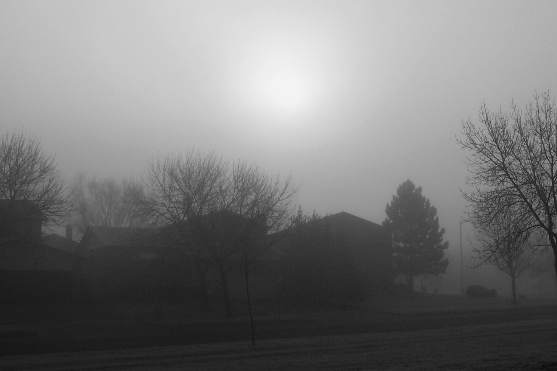 Photography by spiker69 for DesignCrowd (Community Contests) | Design #9099282