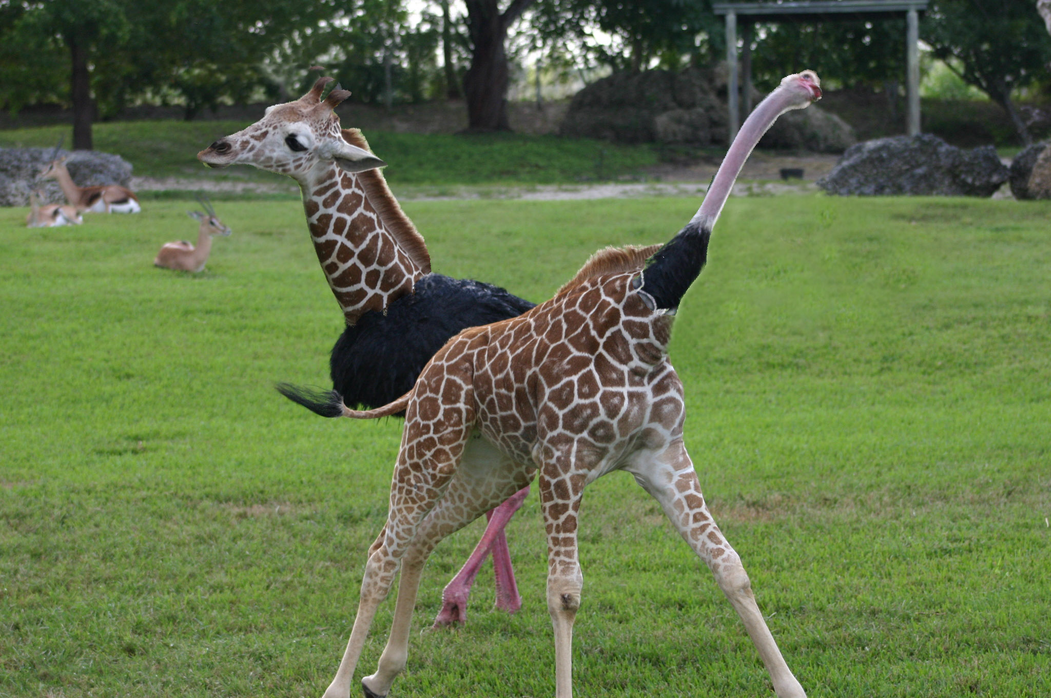 Photoshop-Design von richarba für DesignCrowd (Community Contests) | Design #9128723