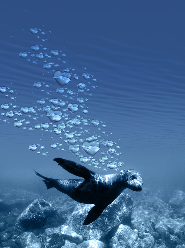 Diseño de Photoshop por JL2004 para DesignCrowd (Community Contests) | Diseño #9128965