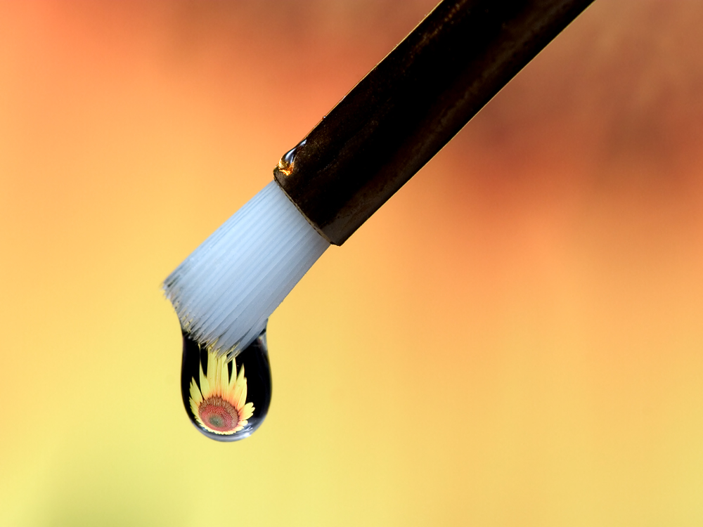 Photography by cats4dogs for DesignCrowd (Community Contests) | Design #9128263