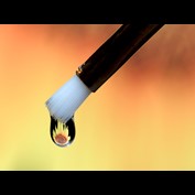 Photography by cats4dogs