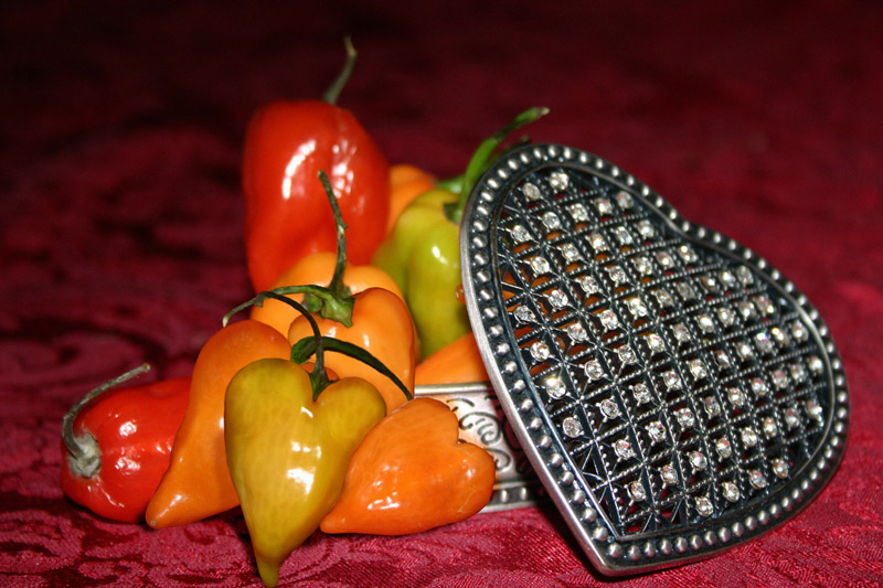 Photoshop Design by digiteyes for DesignCrowd (Community Contests) | Design #9129049