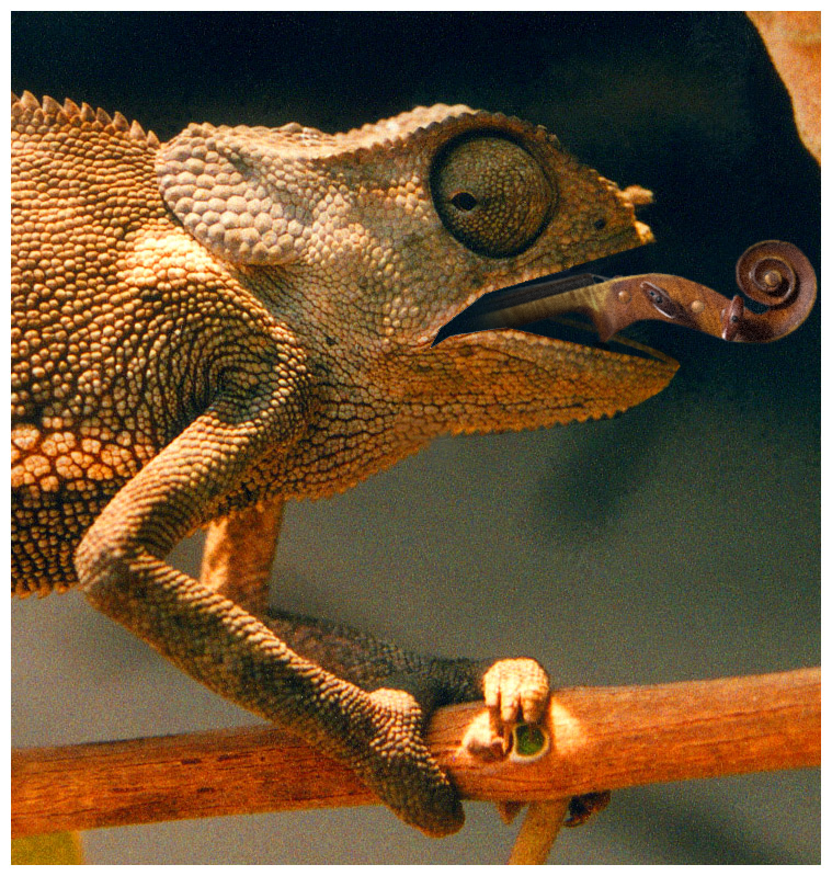 Photoshop Design by Norrit for DesignCrowd (Community Contests) | Design #9129973