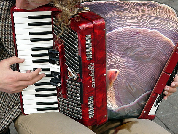 Photoshop Design by fRedline for DesignCrowd (Community Contests) | Design #9130027