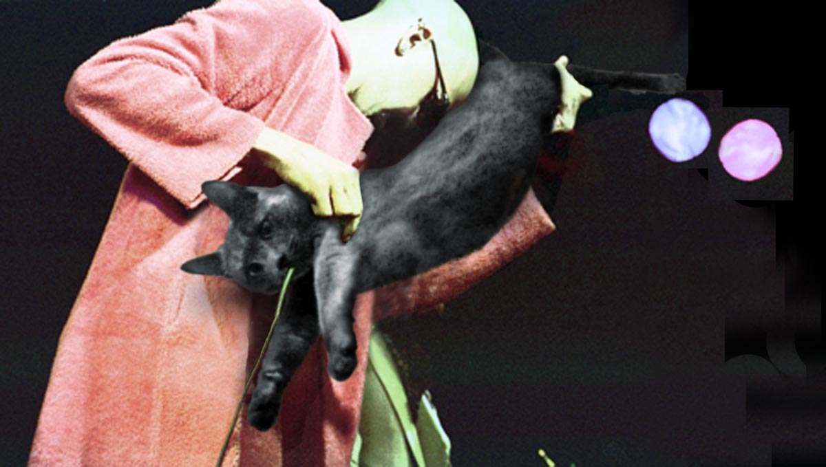 Diseño de Photoshop por solomonhightower para DesignCrowd (Community Contests) | Diseño #9130070