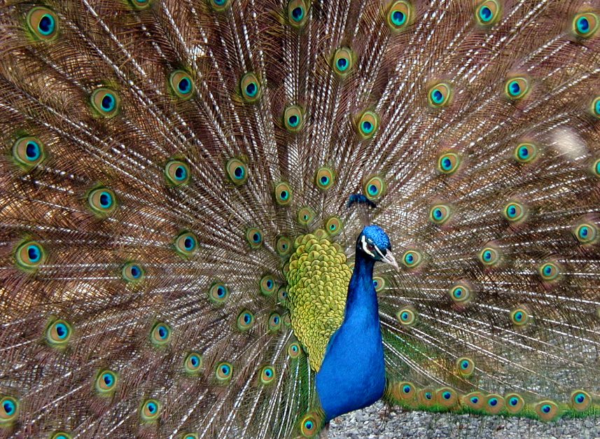 Photography by Tommy1de for DesignCrowd (Community Contests) | Design #9128315