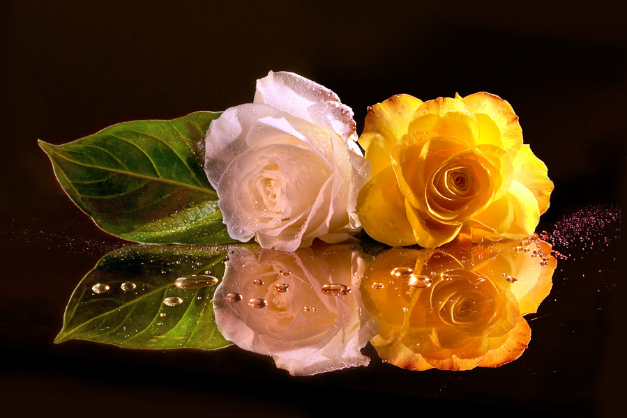 Photography by branie for DesignCrowd (Community Contests) | Design #9128341