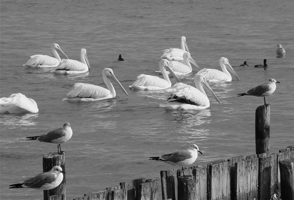Photography by CSC10000 for DesignCrowd (Community Contests) | Design #9128435