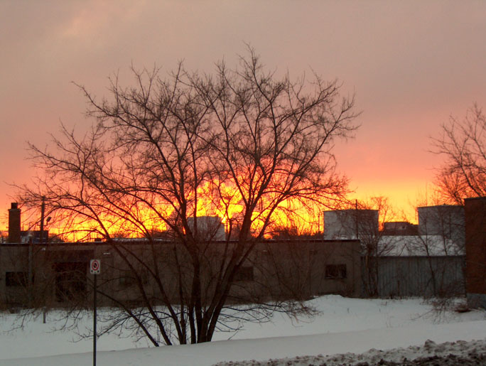 Photography by Salster for DesignCrowd (Community Contests) | Design #9099441