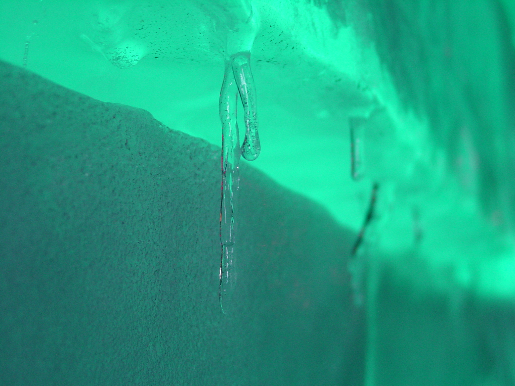 Photography by yusaku for DesignCrowd (Community Contests) | Design #9127575