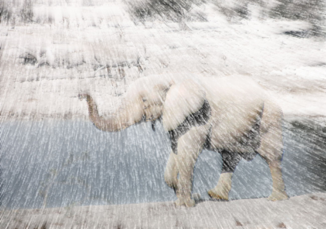 Photoshop-Design von wax115 für DesignCrowd (Community Contests) | Design #9110840