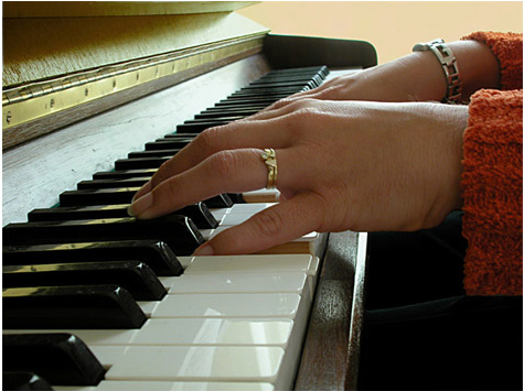 Fotografie von Ashcat für DesignCrowd (Community Contests) | Design #9128471