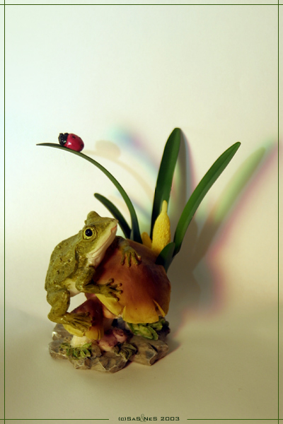 Photography by sasnes for DesignCrowd (Community Contests) | Design #9127615